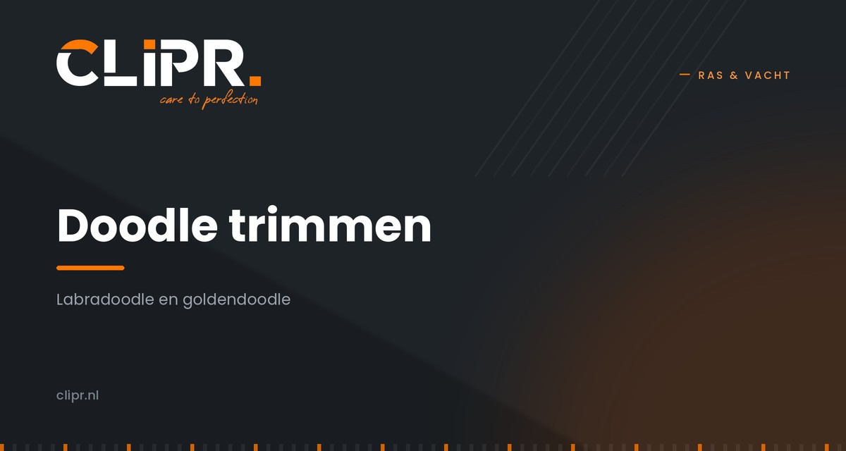 Labradoodle trimmen: de complete gids voor doodles