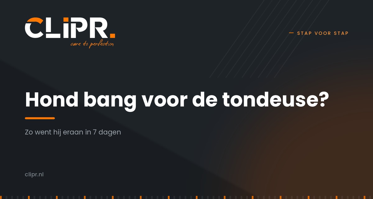 Hond bang voor tondeuse? Zo wen je hem in 7 dagen