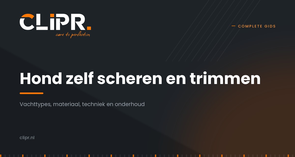 Hond zelf scheren en trimmen: de complete gids