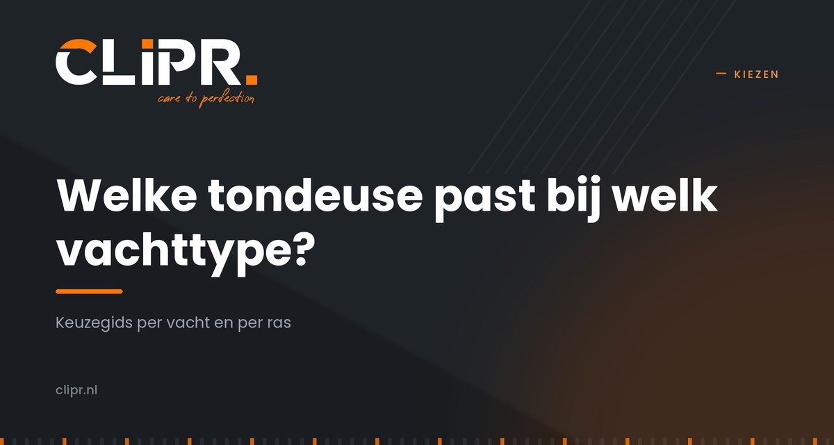 Beste hondentondeuse per vachttype: de keuzegids