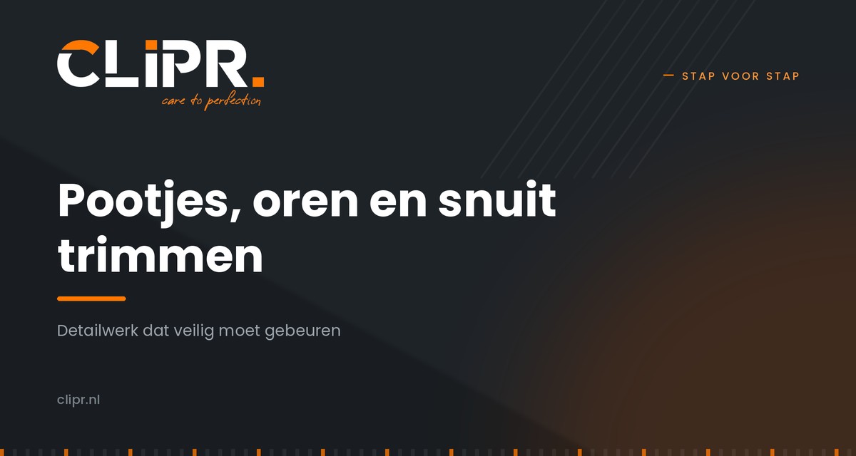 Hondenpootjes trimmen: oren en snuit veilig doen